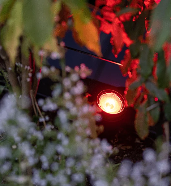 in-lite SMART TONE spot met gekleurd licht tussen de beplanting