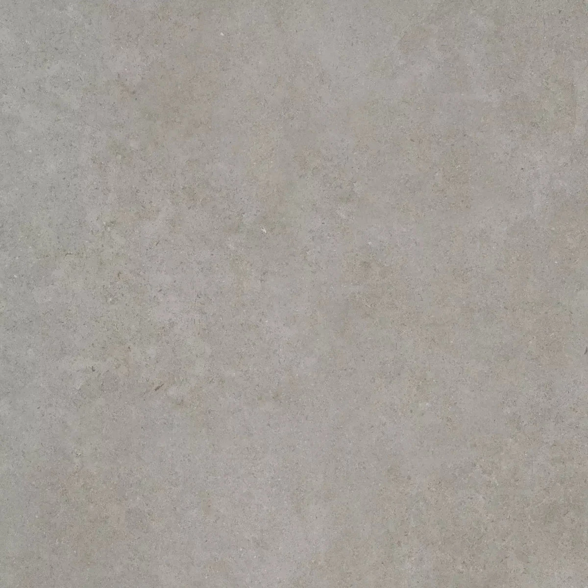 CeraSolid Cortona 60x60x3cm Silver Tuinvisie keramische tegel