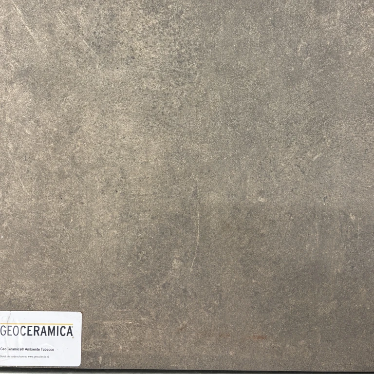 GeoCeramica 60×60 Ambiente Greige Flower