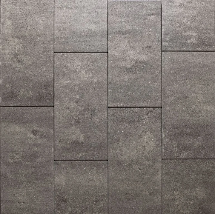 Eliton supreme xxs lin 30x60x4 amiata Redsun betontegel