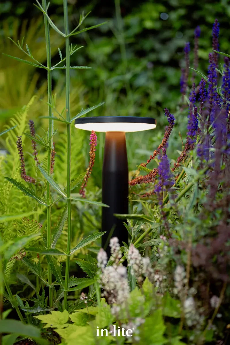In-Lite DISC