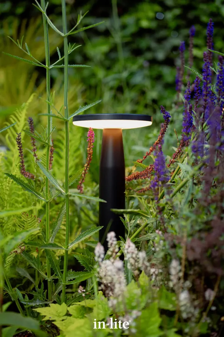 In-Lite DISC LOW