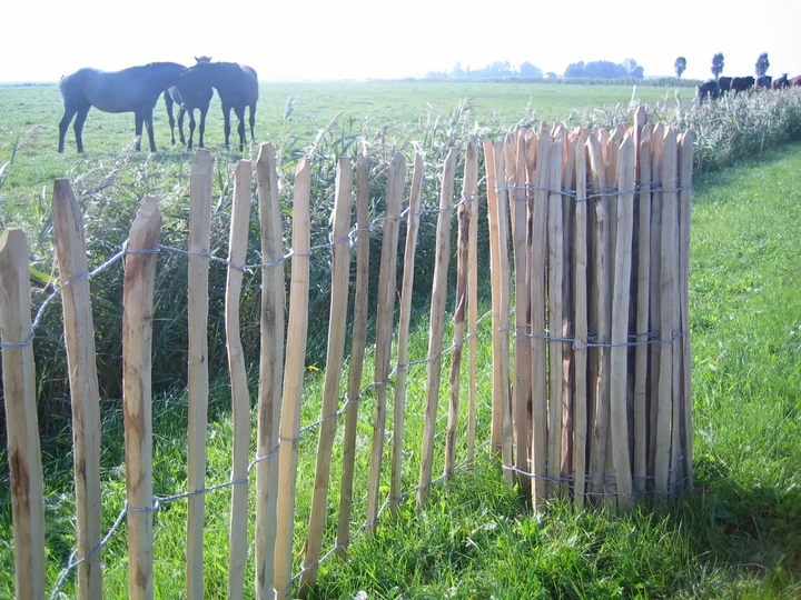 Kastanje Hek 5x90x460 460x90x5cm