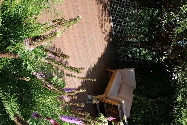 WPC Terrasplank Massief Premium 2,3x21x400cm Ipé 21x2.3x400cm Bruin