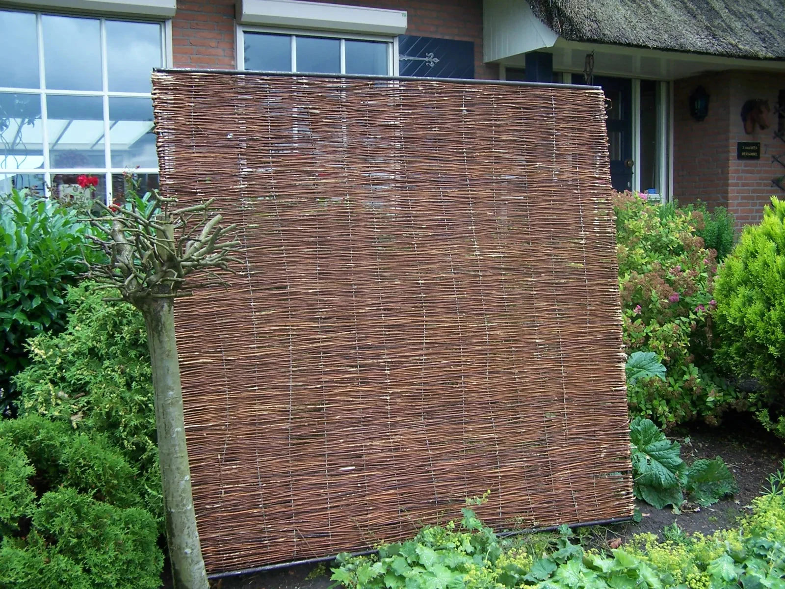 Wilgenscherm Stingray 180x180 180x180x4cm Bruin