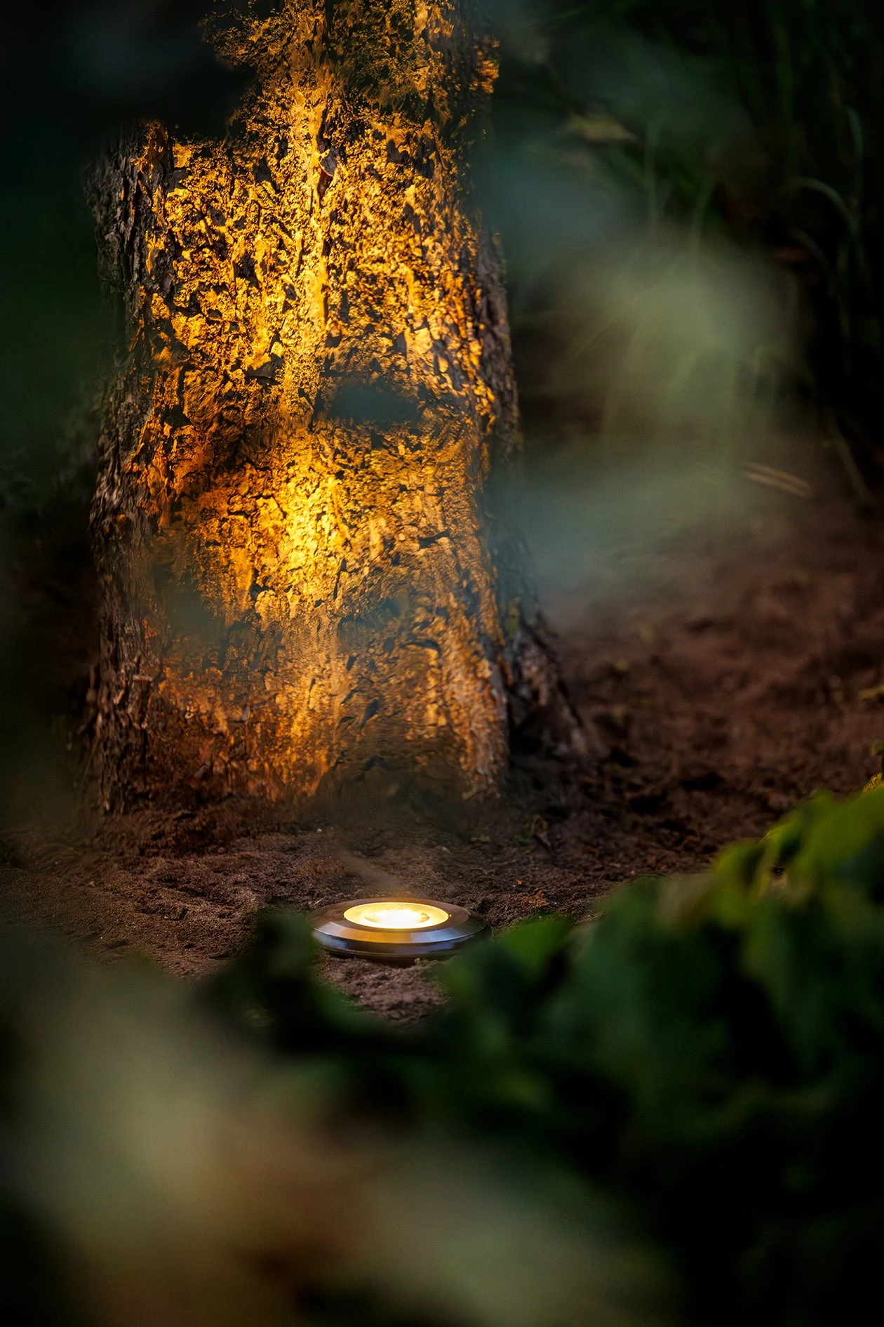 Light Pro Agate 12V