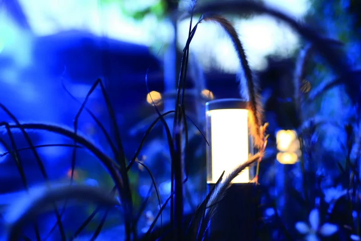 In-Lite Liv Solitary Low 12V - Rosé Silver