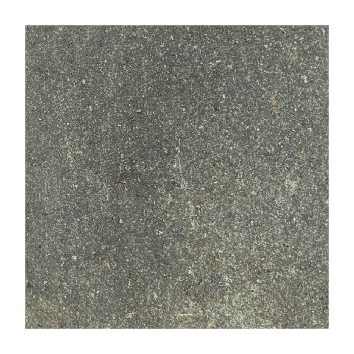 Tegel Beton 50x50x5 cm Grijs