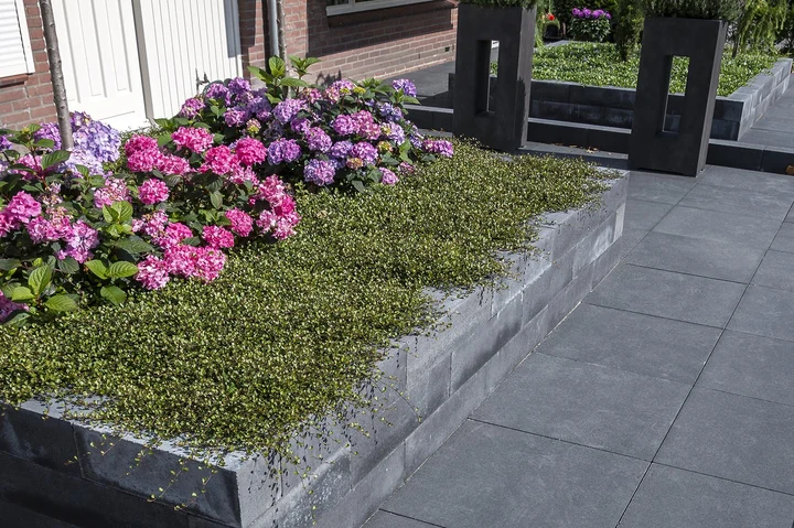Trottoirtegels Antraciet