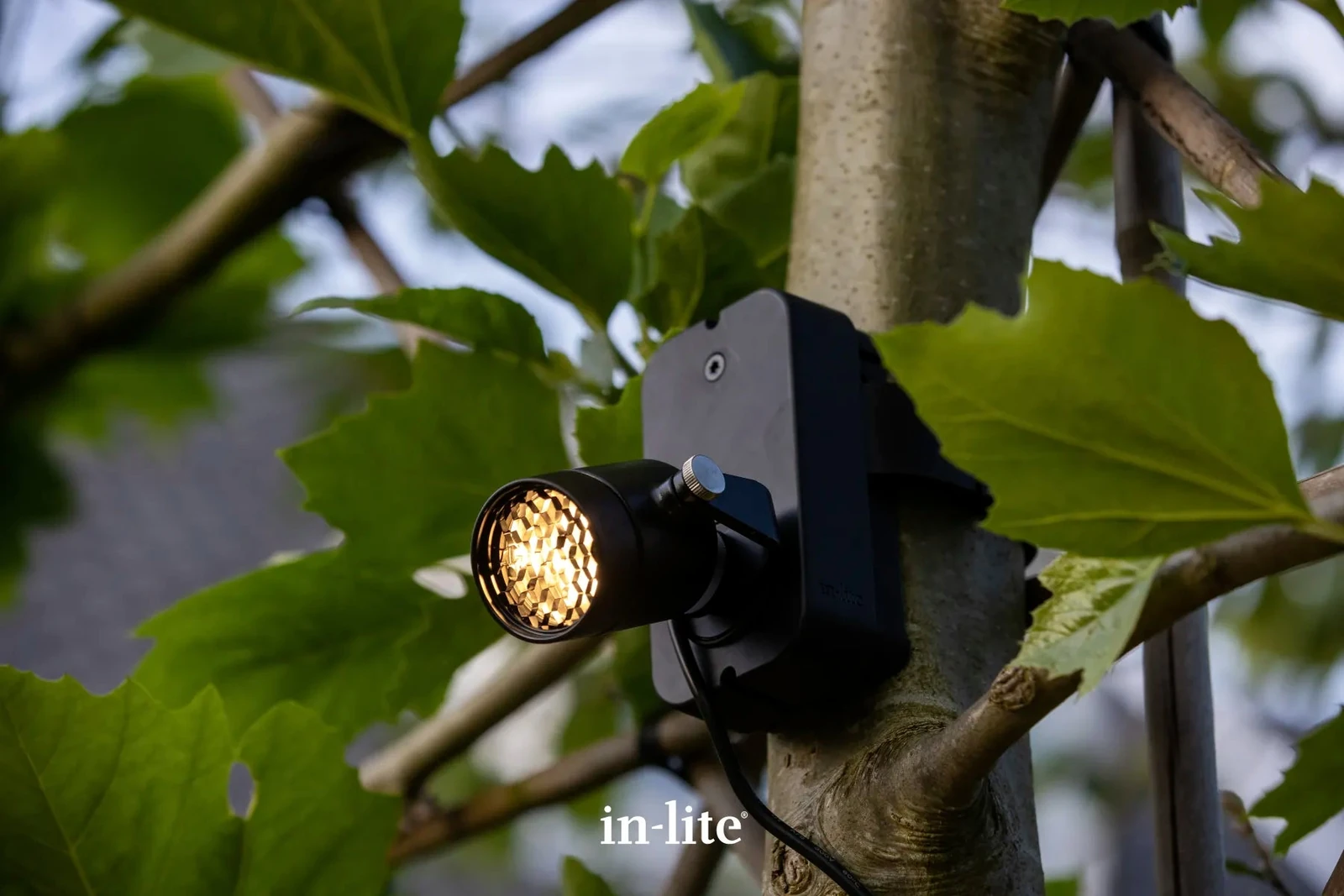 In-Lite BRACE montagesteun geschikt voor Scope
