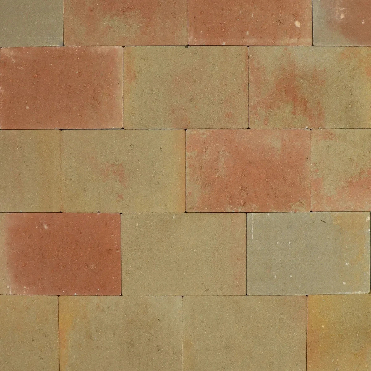 Vlaksteen 20x30x6 terra 30x20x6cm