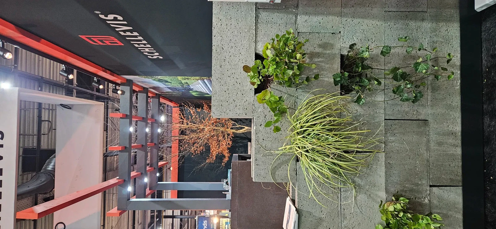 Schellevis Oudhollands Groenwand beplanting 20x20x100cm Grijs