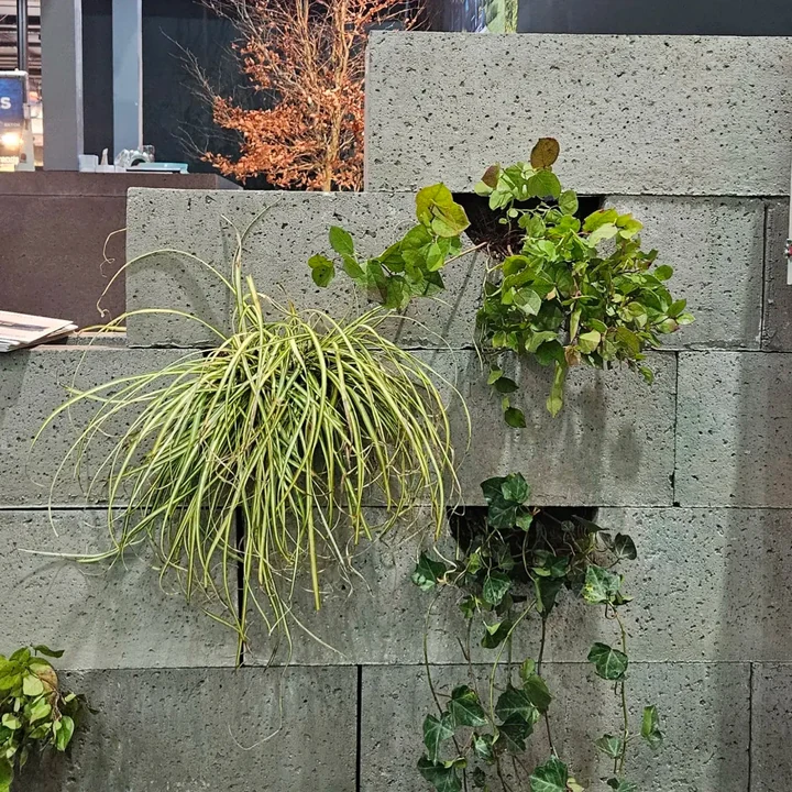 Schellevis Oudhollands Groenwand beplanting 20x20x100cm Grijs