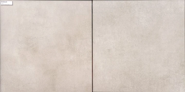 Private label 73 promo beige 60x60x3+1cm Redsun betontegel