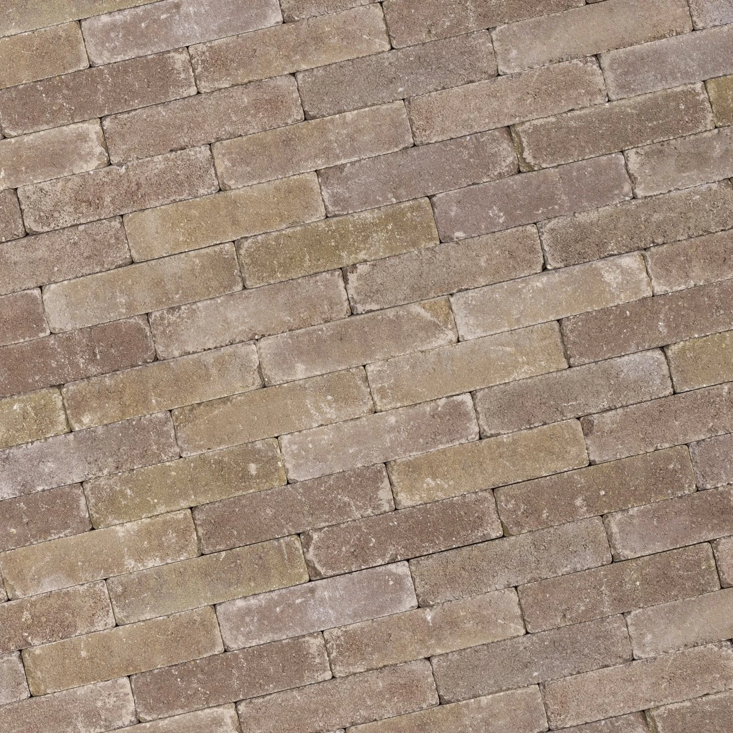 Tumbelton Inca