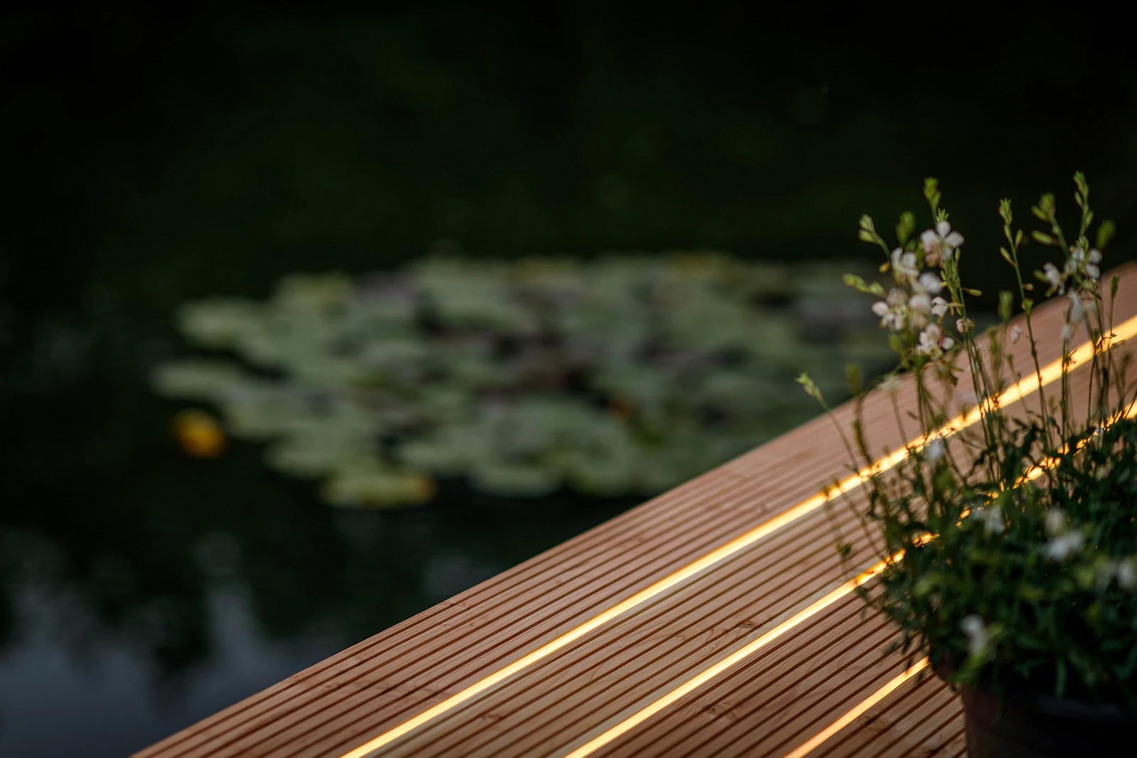 Light Pro Led strip 12V Lightpro sfeerverlichting