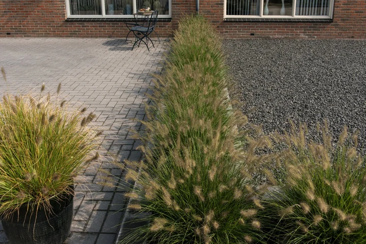 Tremico Betonklinker 7cm 21x10,5x7cm Antraciet