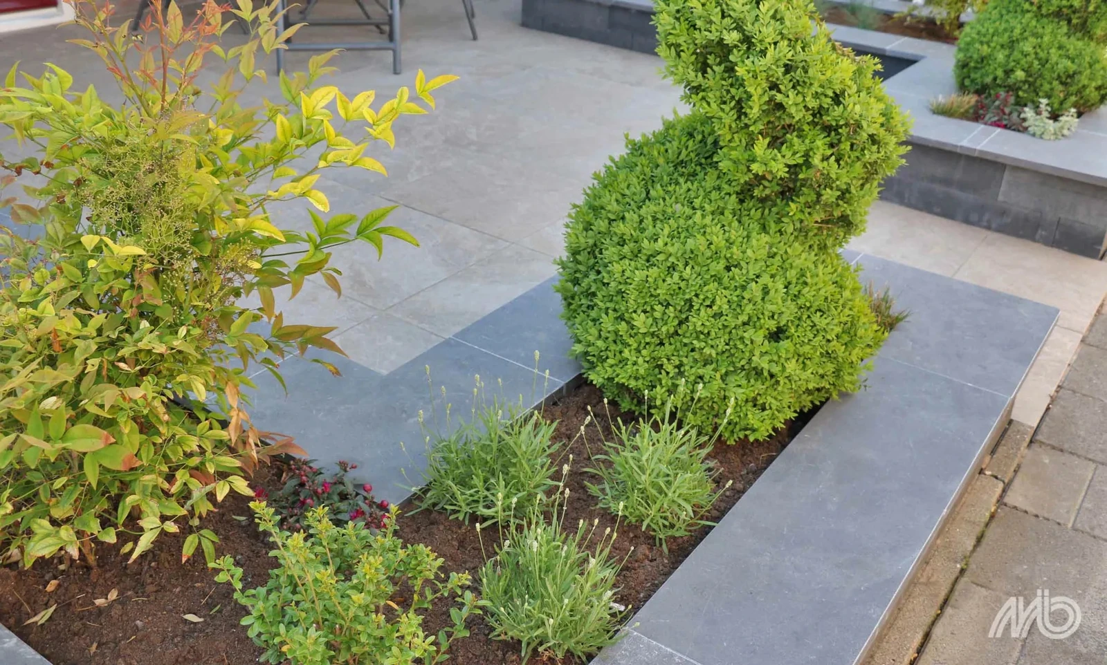 Bluestone VijverrandPrimo 15x3x100cm Blauw, Grijs
