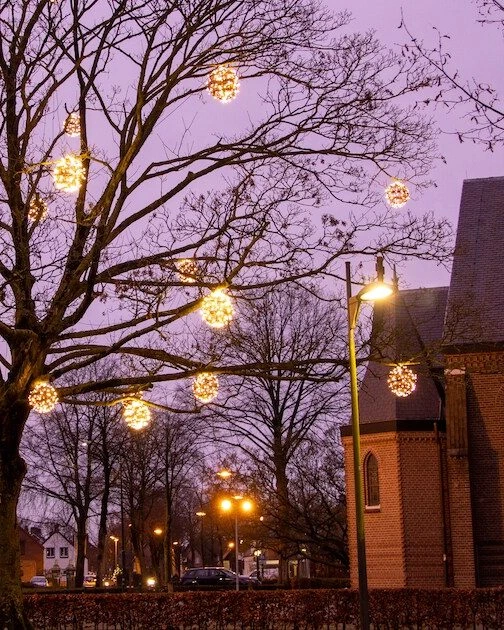 Verlichting tussen bomen op de projectpagina van Wintelre