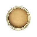AP500G | Touch Up paint 500ml Golden Oak