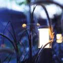 In-Lite Liv Solitary Low 12V - White