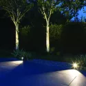 In-Lite Ace Solitary 12V - Rosé Silver
