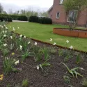 Flexline Borderrand Cortenstaal 40cm lengte 216cm incl. 5 grondnagels en verbindingsset
