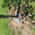Tree Border Cortenstaal 75cm
