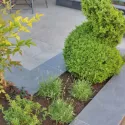 Bluestone Vijverrand 3x15x100 Primo