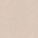 Schellevis Oudhollands Tegel 240x120x12 Creme