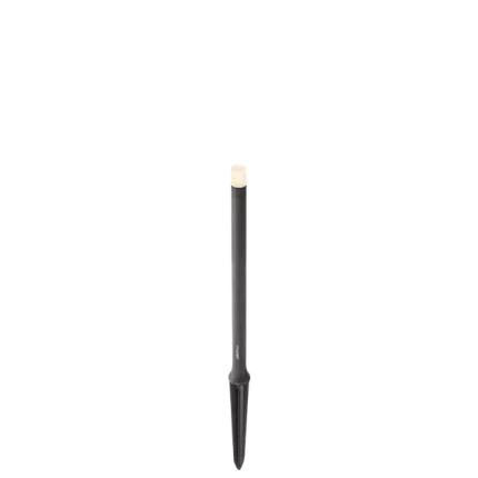 Erba Medium