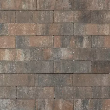 Tremico Dikformaat (DF) Texels Bont 6cm