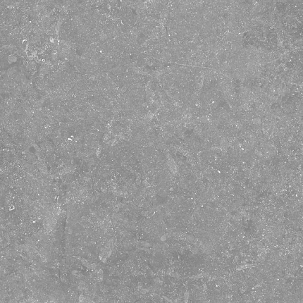 Pietra Belgio Grigio Chiaro 60x60x2 cm