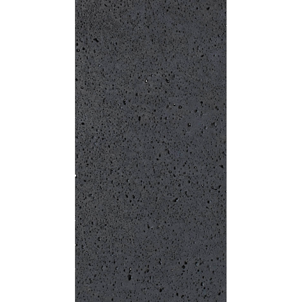 Schellevis Oudhollands Tegel 200x100x10 Carbon
