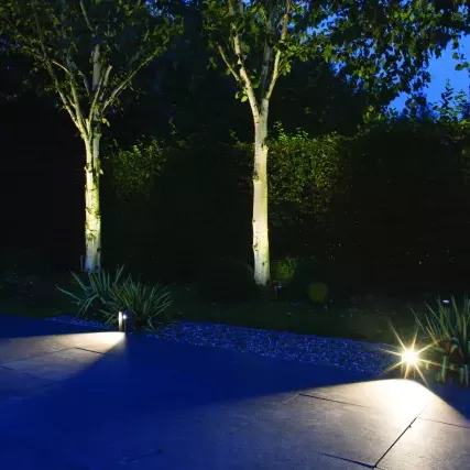 In-Lite Ace Solitary 12V - Rosé Silver
