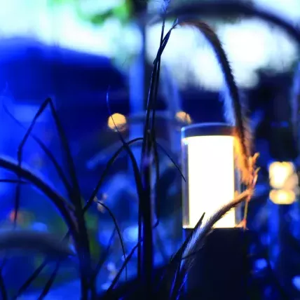 In-Lite Liv Solitary Low 12V - Rosé Silver