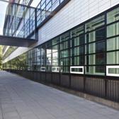 Schellevis Oudhollands Tegel 60x60x7 Grijs