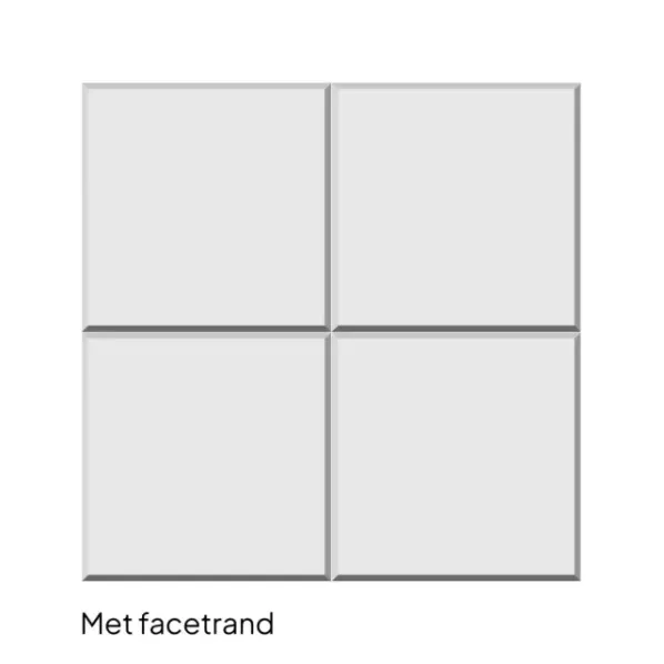 Grootformaat tegel 40x60x5 facet KOMO grijs klein pakket