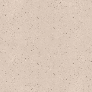 Schellevis Oudhollands Tegel 240x120x12 Creme